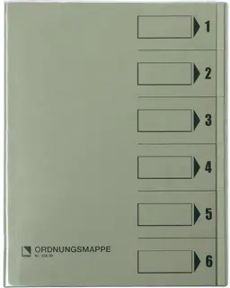 BENE Ordnungsmappe 83600 A4 6-teilig 1-6 Recyclingkarton 250 g/m² mit Schutzumschlag grau