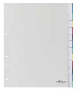 DURABLE Register 6831 A4+ 10teilig blanko PP 13 mm transparent