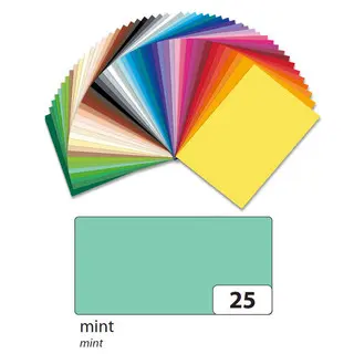 FOLIA Fotokarton 6125 10 Bögen 300 g/m² 50 x 70 cm mint