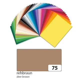 FOLIA Fotokarton 6175 10 Bögen 300 g/m² 50 x 70 cm rehbraun