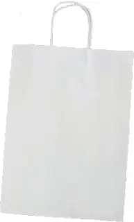 FOLIA Papiertüte 20 Stück 12 x 15 x 5