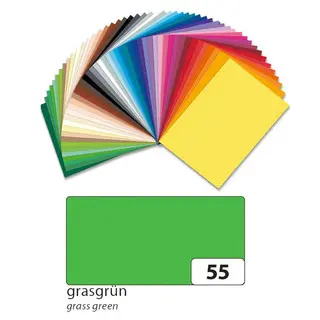 FOLIA Tonzeichenpapier 6755 10 Bögen 130 g/m² 50 x 70 cm grasgrün