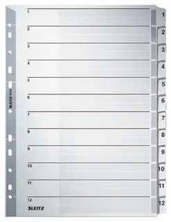 LEITZ Register 4325 A4 Karton 1-12 grau