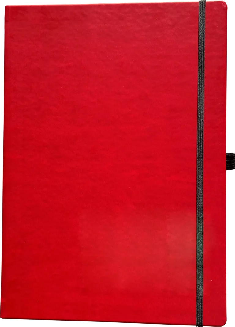 LEYKAM Notizbuch Denkzettel Classic DIN A4 192 Blatt kariert rot