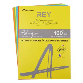 REY Kopierpapier Adagio 5x 20 Blatt A4 160 g/m² Intensivfarben sortiert